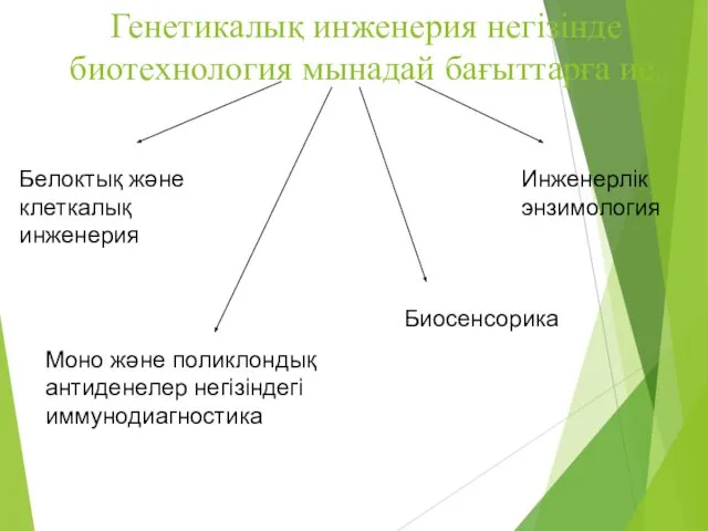 Генетикалық инженерия негізінде биотехнология мынадай бағыттарға ие. Белоктық және клеткалық инженерия