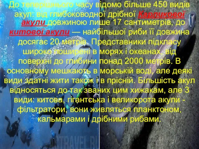 До теперішнього часу відомо більше 450 видів акул: від глибоководної дрібної