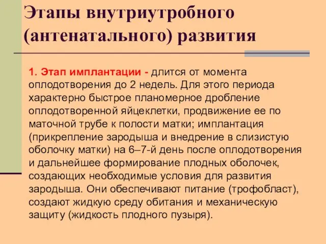 Этапы внутриутробного (антенатального) развития 1. Этап имплантации - длится от момента