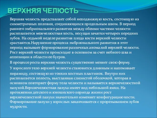 ВЕРХНЯЯ ЧЕЛЮСТЬ Верхняя челюсть представляет собой неподвижную кость, состоящую из симметричных