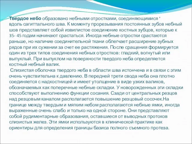 Твердое небо образовано небными отростками, соединяющимися ' вдоль сагиттального шва. К