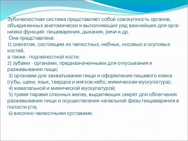 Зубочелюстная система представляет собой совокупность органов, объединенных анатомически и выполняющих ряд