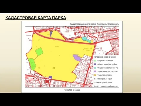 КАДАСТРОВАЯ КАРТА ПАРКА