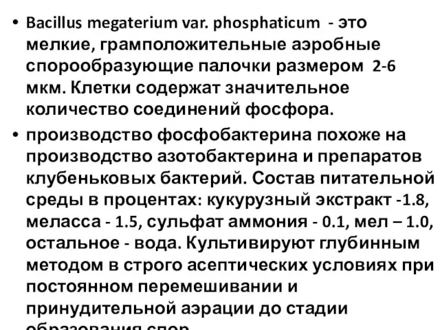 Bacillus megaterium var. phosphaticum - это мелкие, грамположительные аэробные спорообразующие палочки