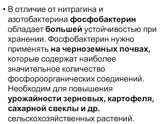 В отличие от нитрагина и азотобактерина фосфобактерин обладает большей устойчивостью при