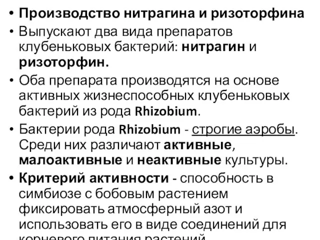 Производство нитрагина и ризоторфина Выпускают два вида препаратов клубеньковых бактерий: нитрагин