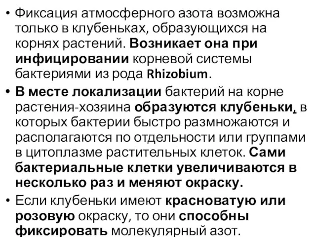 Фиксация атмосферного азота возможна только в клубеньках, образующихся на корнях растений.