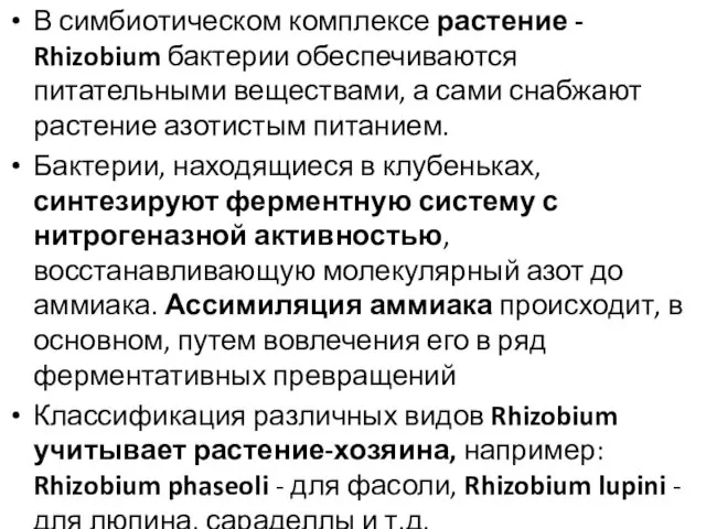 В симбиотическом комплексе растение - Rhizobium бактерии обеспечиваются питательными веществами, а