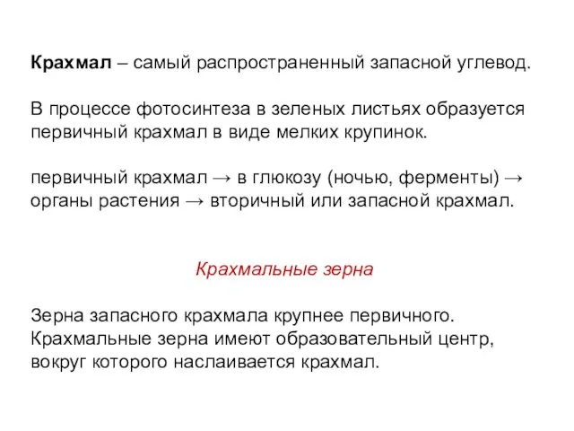 Крахмал – самый распространенный запасной углевод. В процессе фотосинтеза в зеленых