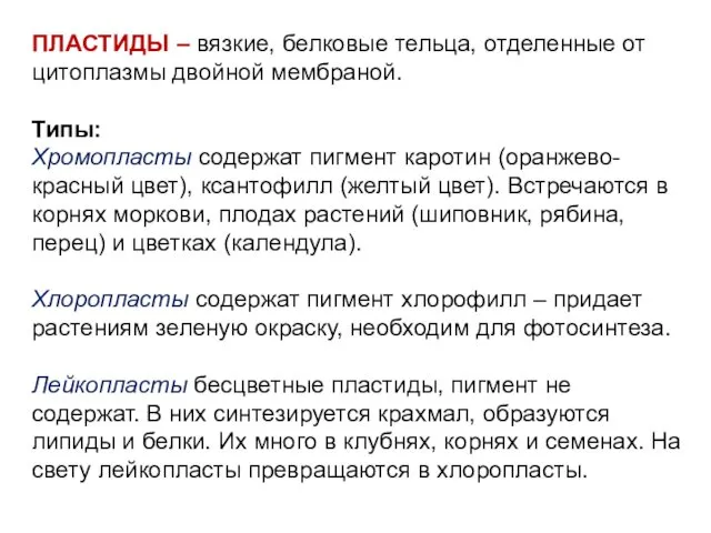 ПЛАСТИДЫ – вязкие, белковые тельца, отделенные от цитоплазмы двойной мембраной. Типы: