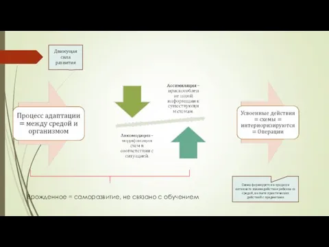 Движущая сила развития Врожденное = саморазвитие, не связано с обучением Схема