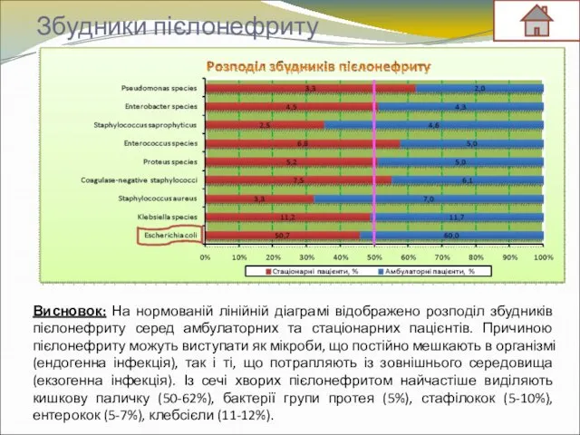 Збудники пієлонефриту Висновок: На нормованій лінійній діаграмі відображено розподіл збудників пієлонефриту