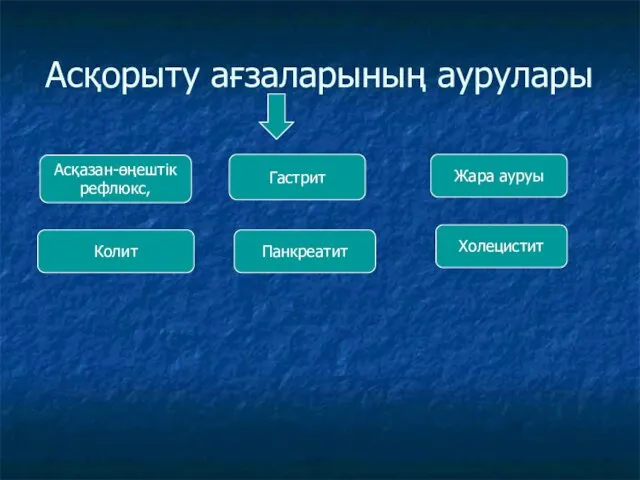 Асқорыту ағзаларының аурулары Асқазан-өңештік рефлюкс, Гастрит Жара ауруы Колит Панкреатит Холецистит