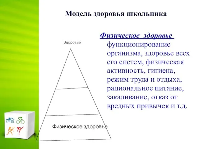 Модель здоровья школьника Физическое здоровье – функционирование организма, здоровье всех его