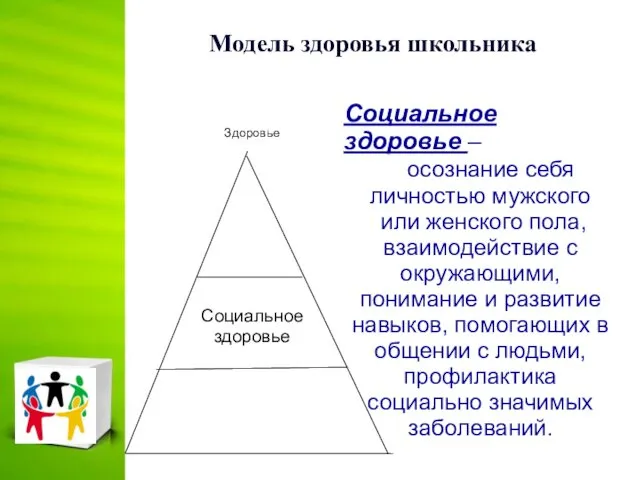 Модель здоровья школьника Социальное здоровье – осознание себя личностью мужского или