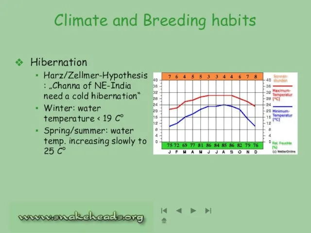 Climate and Breeding habits Hibernation Harz/Zellmer-Hypothesis: „Channa of NE-India need a