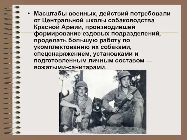 Масштабы военных, действий потребовали от Центральной школы собаководства Красной Армии, производившей