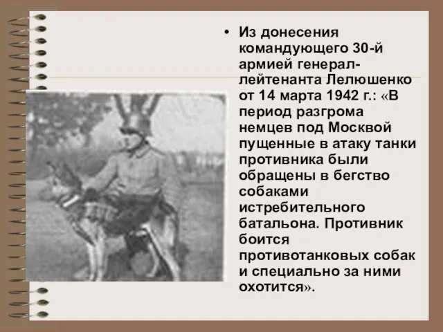 Из донесения командующего 30-й армией генерал-лейтенанта Лелюшенко от 14 марта 1942