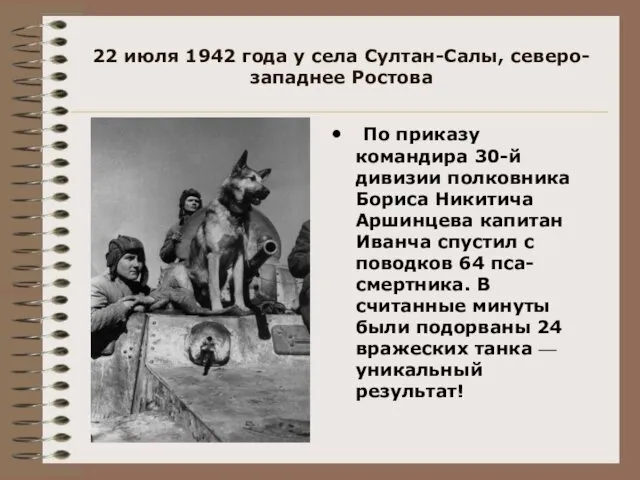 22 июля 1942 года у села Султан-Салы, северо-западнее Ростова По приказу