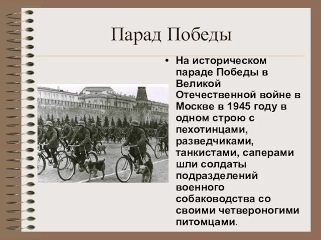 Парад Победы На историческом параде Победы в Великой Отечественной войне в