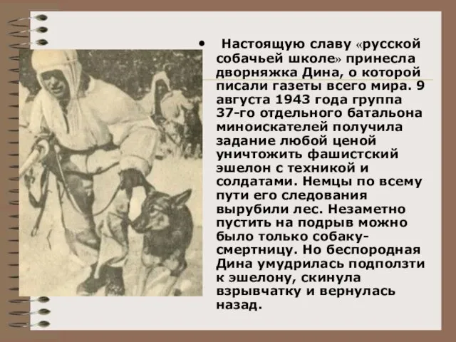 Настоящую славу «русской собачьей школе» принесла дворняжка Дина, о которой писали