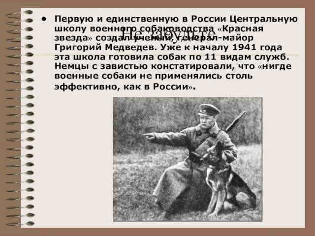 Не забудьте Первую и единственную в России Центральную школу военного собаководства
