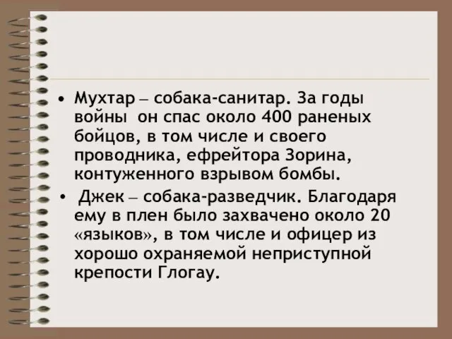 Мухтар – собака-санитар. За годы войны он спас около 400 раненых