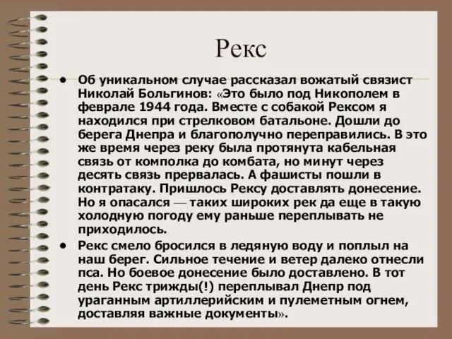 Рекс Об уникальном случае рассказал вожатый связист Николай Больгинов: «Это было