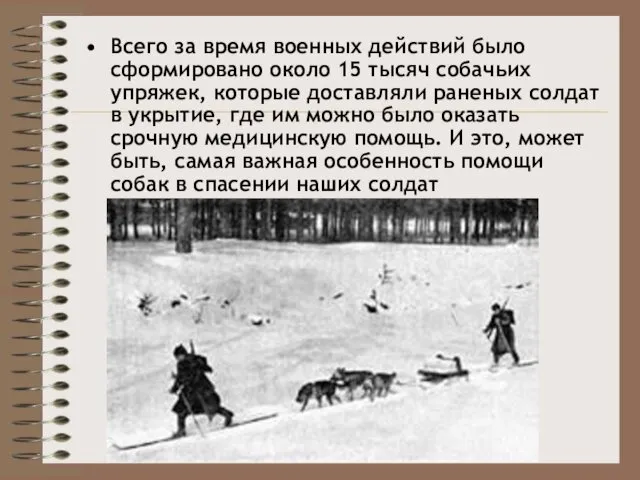 Всего за время военных действий было сформировано около 15 тысяч собачьих