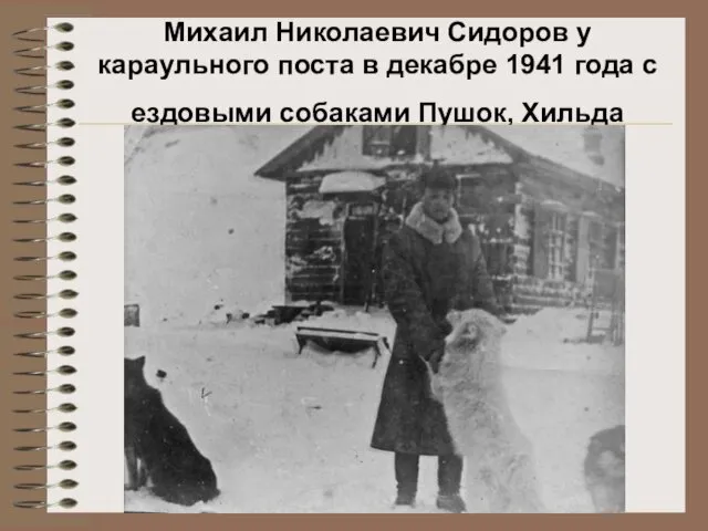 Михаил Николаевич Сидоров у караульного поста в декабре 1941 года с ездовыми собаками Пушок, Хильда