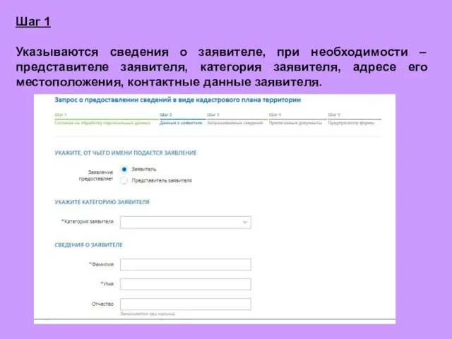 Шаг 1 Указываются сведения о заявителе, при необходимости – представителе заявителя,