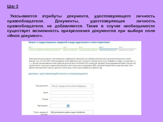 Шаг 3 Указываются атрибуты документа, удостоверяющего личность правообладателя. Документы, удостоверяющие личность