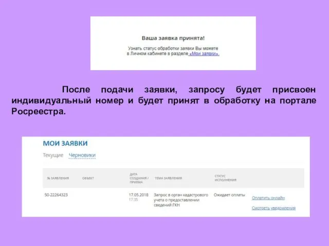 После подачи заявки, запросу будет присвоен индивидуальный номер и будет принят в обработку на портале Росреестра.