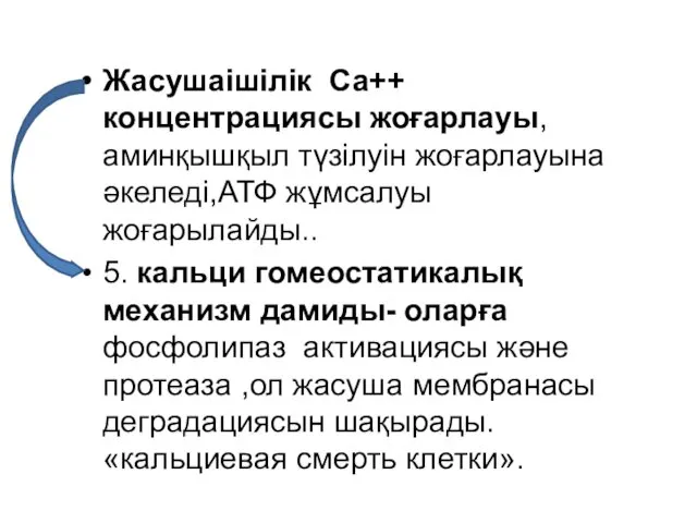 Жасушаішілік Са++ концентрациясы жоғарлауы, аминқышқыл түзілуін жоғарлауына әкеледі,АТФ жұмсалуы жоғарылайды.. 5.