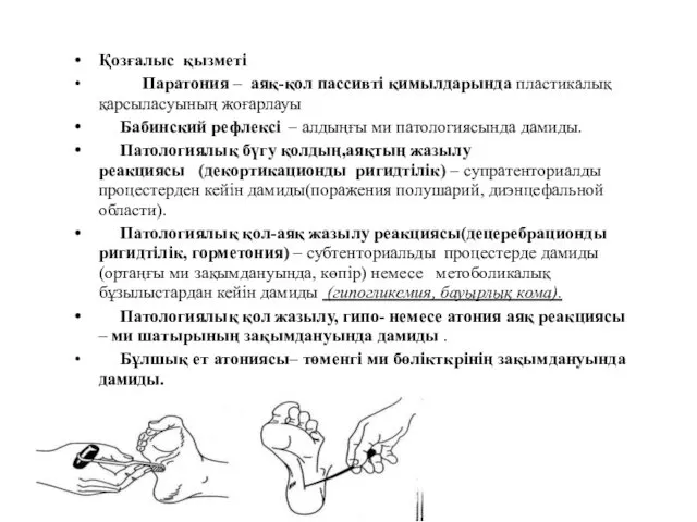 Қозғалыс қызметі Паратония – аяқ-қол пассивті қимылдарында пластикалық қарсыласуының жоғарлауы Бабинский