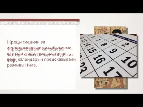 Жрецы следили за астрономическими событиями, изучали животных, растения, вели календарь и