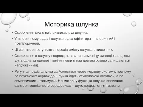 Моторика шлунка Скорочення цих м'язів викликає рух шлунка. У пілоричному відділі