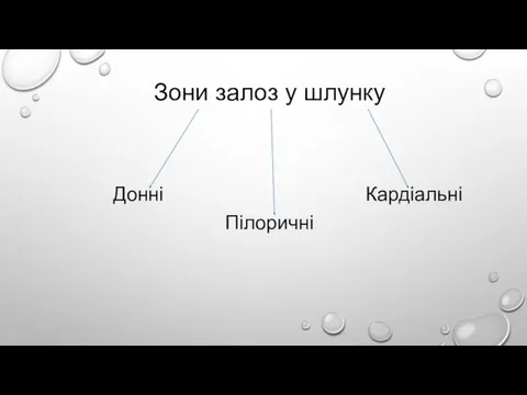 Зони залоз у шлунку Донні Кардіальні Пілоричні