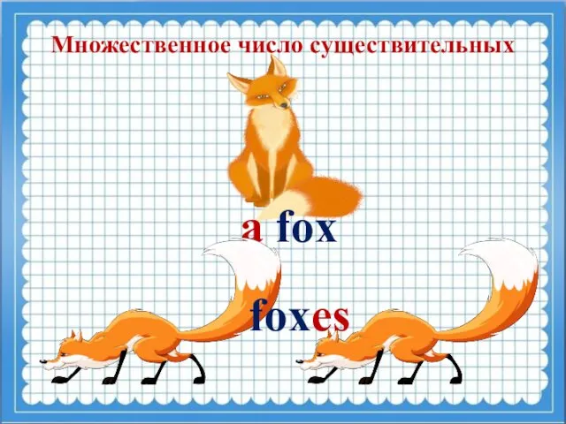 Множественное число существительных a fox foxes