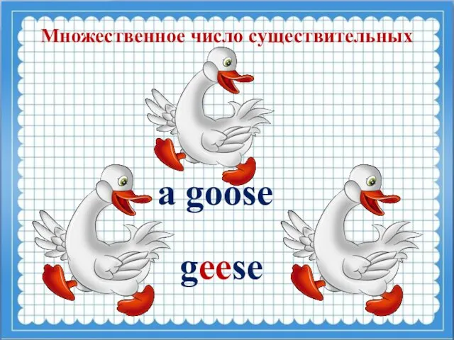 Множественное число существительных a goose geese