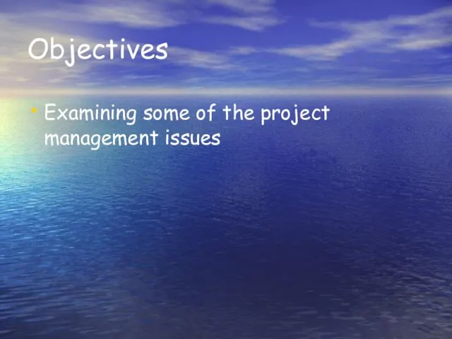 Objectives Examining some of the project management issues