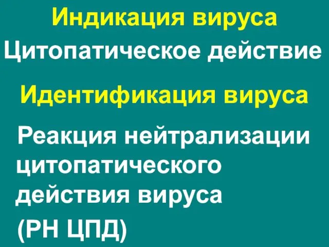 Идентификация вируса Реакция нейтрализации цитопатического действия вируса (РН ЦПД) Индикация вируса Цитопатическое действие