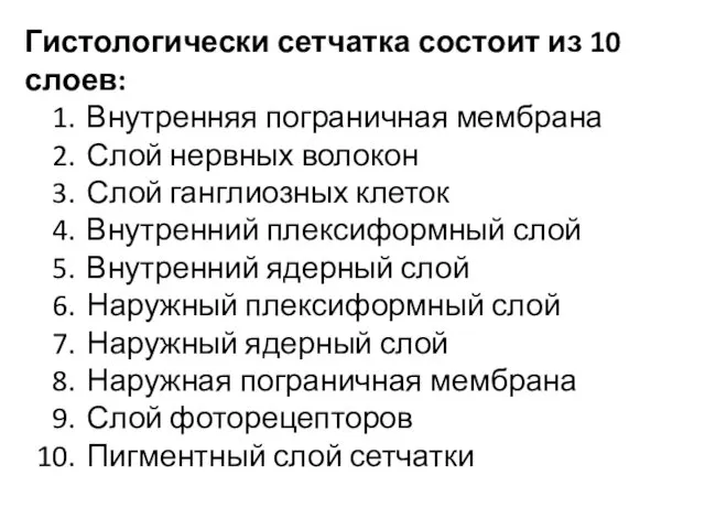 Гистологически сетчатка состоит из 10 слоев: Внутренняя пограничная мембрана Слой нервных