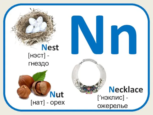 [нэст] - гнездо Nest Nut [нат] - орех Nn Necklace [‘нэклис] - ожерелье