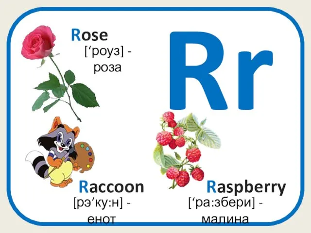 Rr [‘ра:збери] - малина Raspberry Raccoon [рэ’ку:н] - енот [‘роуз] - роза Rose