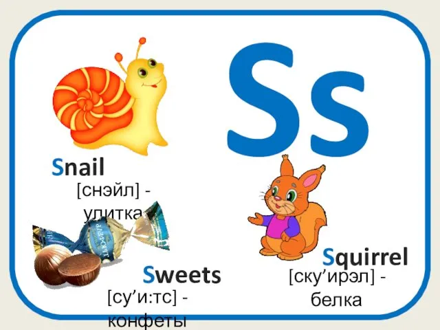 Ss Squirrel [ску’ирэл] - белка [снэйл] - улитка Snail Sweets [су’и:тс] - конфеты