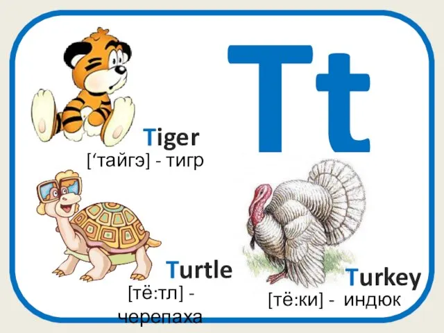 Tt [‘тайгэ] - тигр Tiger Turkey [тё:ки] - индюк Turtle [тё:тл] - черепаха