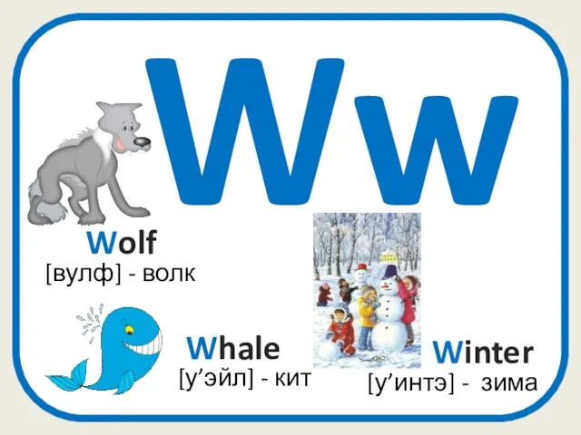 Ww Winter [у’интэ] - зима [вулф] - волк Wolf Whale [у’эйл] - кит