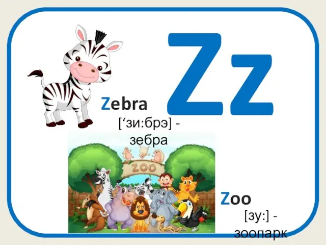 Zz Zebra Zoo [зу:] -зоопарк [‘зи:брэ] - зебра