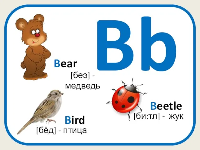 Bb Beetle [би:тл] - жук [беэ] - медведь Bear Bird [бёд] - птица